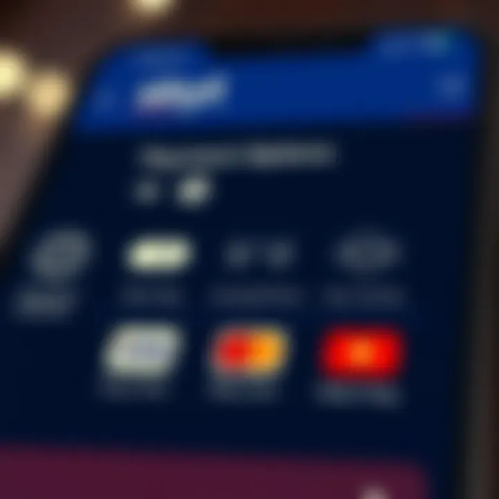 Secure payment methods icons compatible with SkyBet mobile platform in Nigeria
