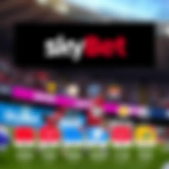 Overview of SkyBet Promotions Available for Nigerian Users An illustration showing the variety of betting promotions offered by SkyBet in Nigeria with icons representing bonuses and rewards